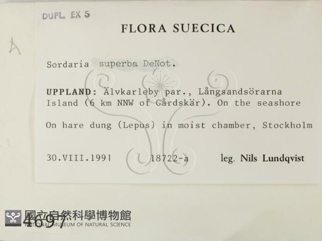 登錄號:F0004697藏品圖，第2張