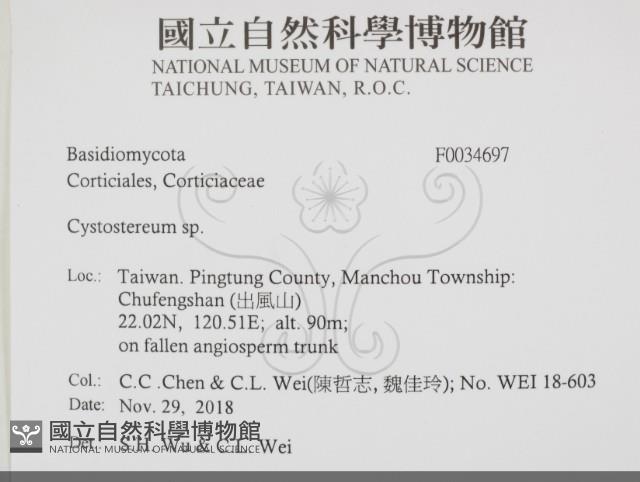 登錄號:F0034697藏品圖，第2張