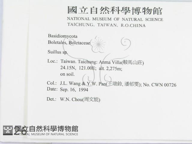 登錄號:F0002697藏品圖，第2張