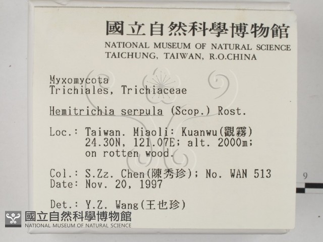 登錄號:F0007697藏品圖，第2張