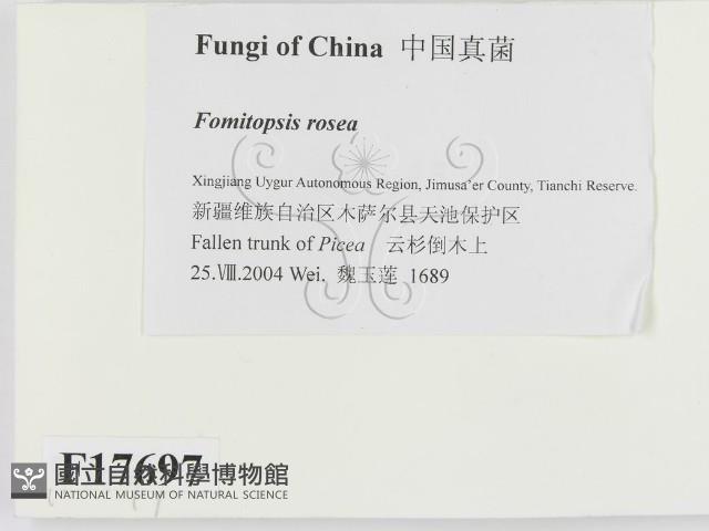 登錄號:F0017697藏品圖，第2張
