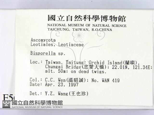 登錄號:F0005697藏品圖，第2張