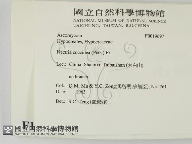 登錄號:F0019697藏品圖，第2張