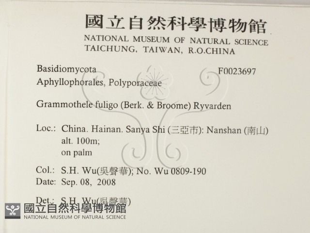 登錄號:F0023697藏品圖，第2張