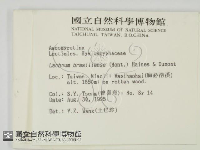 登錄號:F0003697藏品圖，第2張