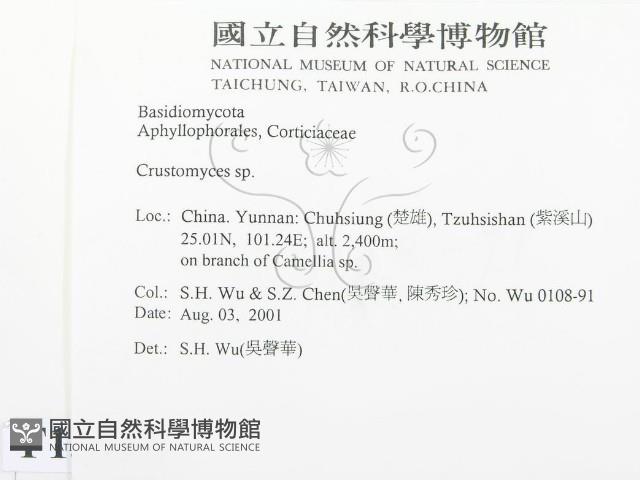 登錄號:F0013697藏品圖，第2張