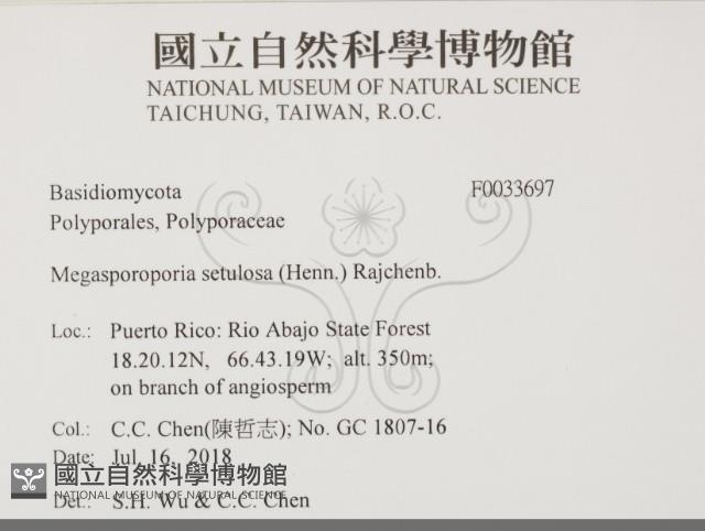 登錄號:F0033697藏品圖，第2張
