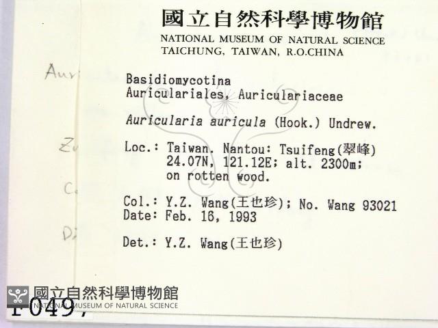 登錄號:F0000497藏品圖，第2張