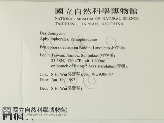 登錄號:F0010497藏品圖，第2張