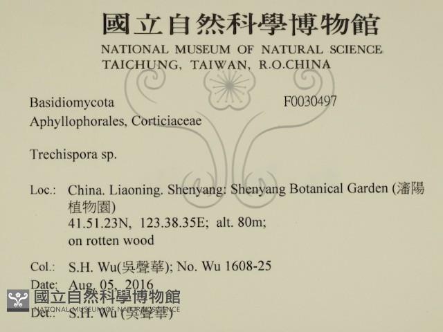 登錄號:F0030497藏品圖，第2張