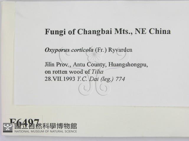 登錄號:F0006497藏品圖，第2張