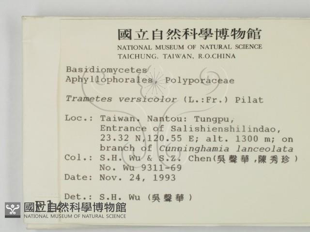 雲芝藏品圖，第2張