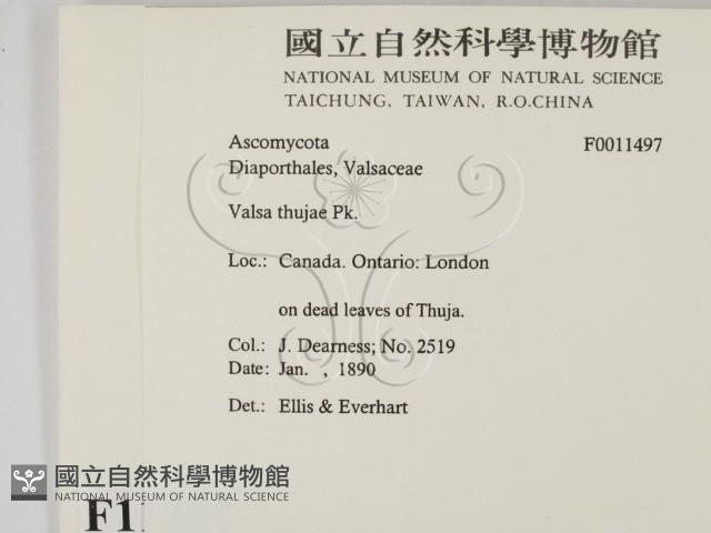 登錄號:F0011497藏品圖，第2張
