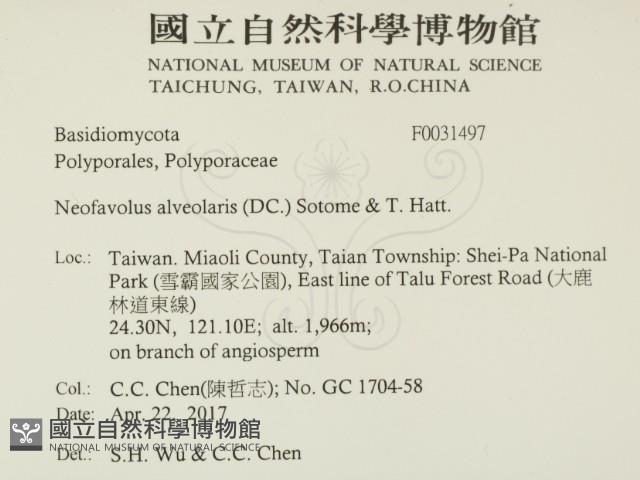 登錄號:F0031497藏品圖，第2張