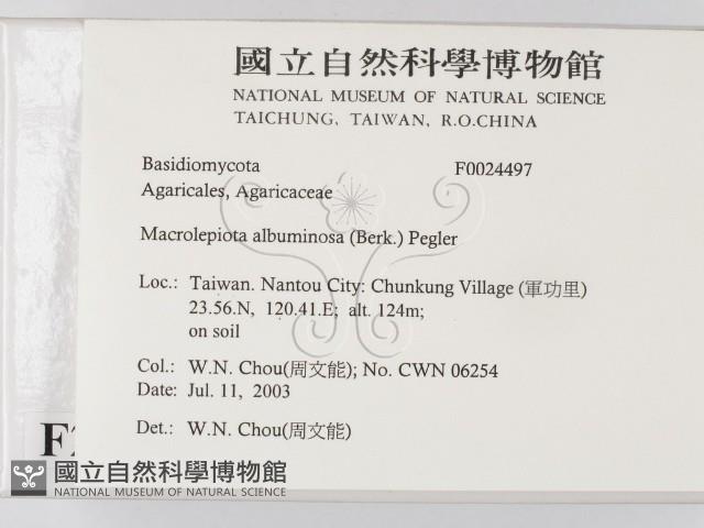 登錄號:F0024497藏品圖，第2張