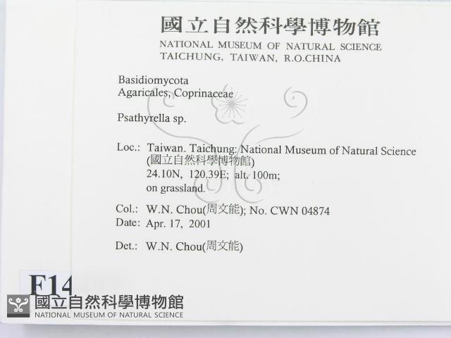 登錄號:F0014497藏品圖，第2張