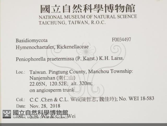 登錄號:F0034497藏品圖，第2張