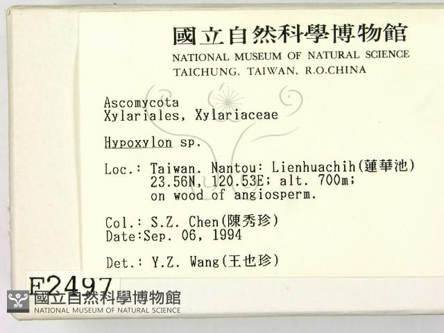 登錄號:F0002497藏品圖，第2張