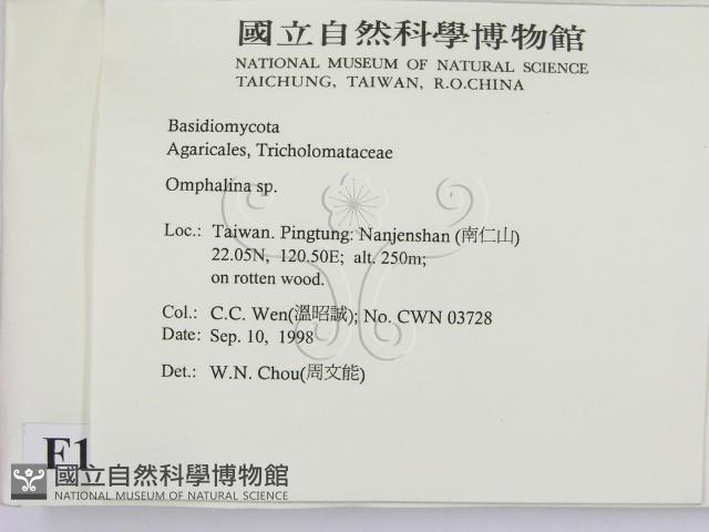 登錄號:F0012497藏品圖，第2張