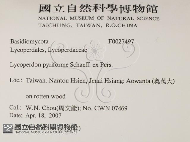 登錄號:F0027497藏品圖，第2張