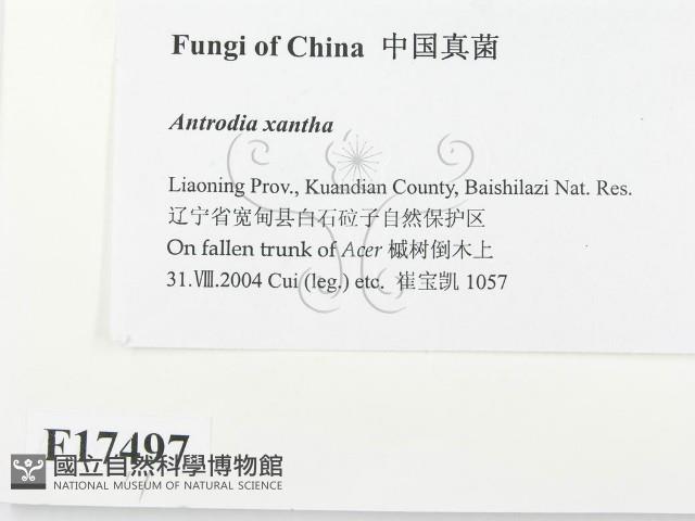 登錄號:F0017497藏品圖，第2張