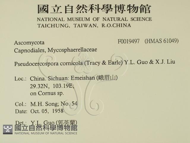 登錄號:F0019497藏品圖，第2張