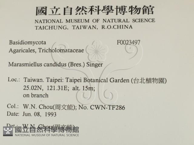 登錄號:F0023497藏品圖，第2張