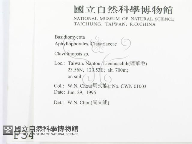 登錄號:F0003497藏品圖，第2張