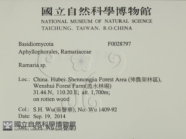 登錄號:F0028797藏品圖，第2張