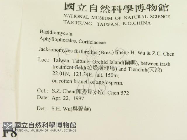 登錄號:F0008797藏品圖，第2張