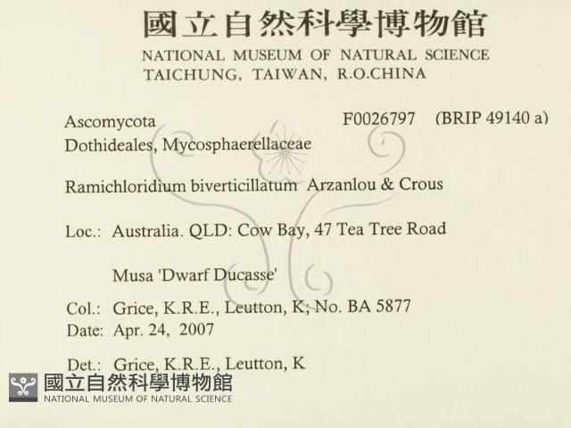 登錄號:F0026797藏品圖，第2張