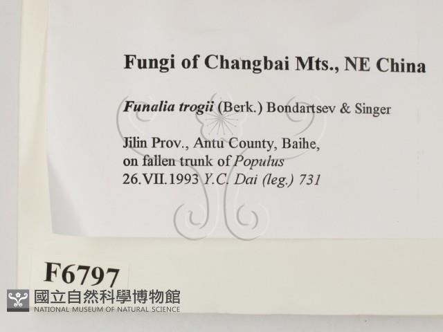 登錄號:F0006797藏品圖，第2張