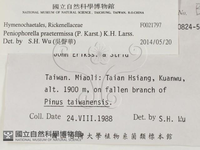 登錄號:F0021797藏品圖，第2張