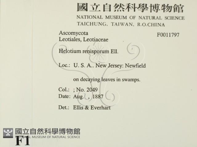 登錄號:F0011797藏品圖，第2張