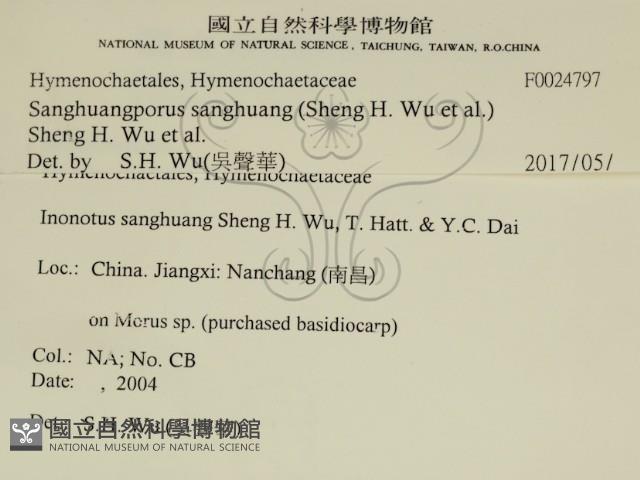 桑黃藏品圖，第2張