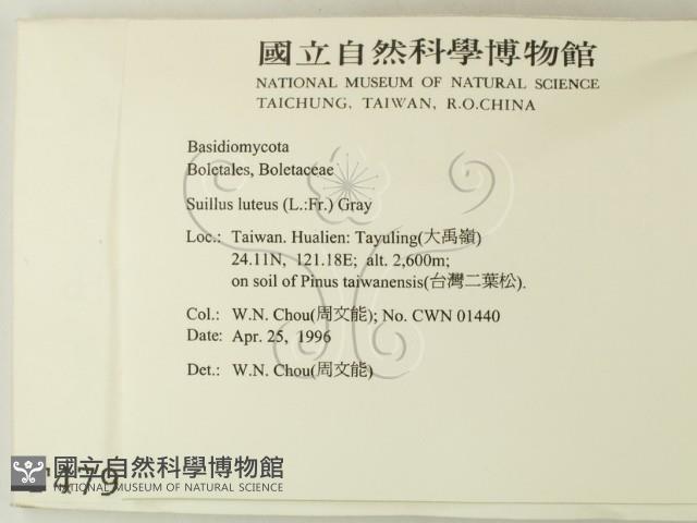 登錄號:F0004797藏品圖，第2張