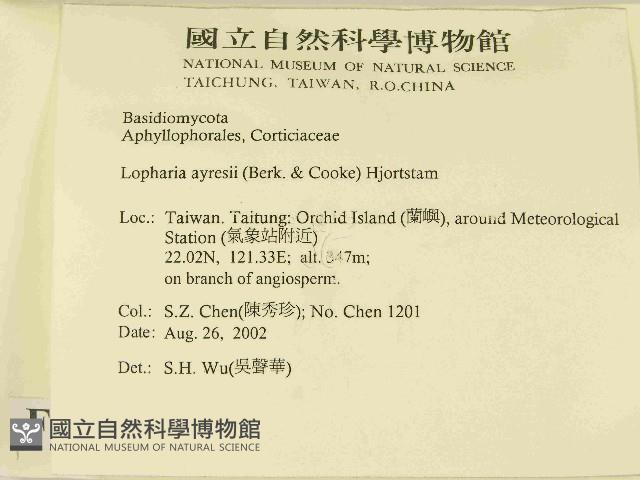 登錄號:F0014797藏品圖，第2張