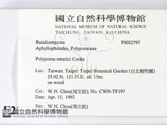 登錄號:F0022797藏品圖，第2張