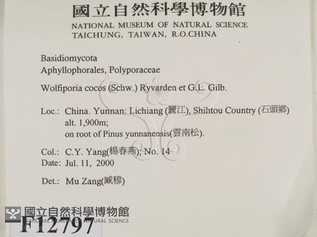 登錄號:F0012797藏品圖，第2張