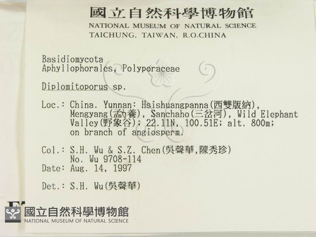 登錄號:F0007797藏品圖，第2張