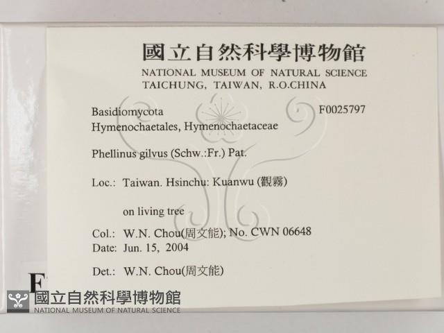 登錄號:F0025797藏品圖，第2張