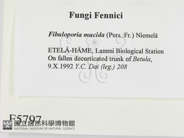 登錄號:F0005797藏品圖，第2張