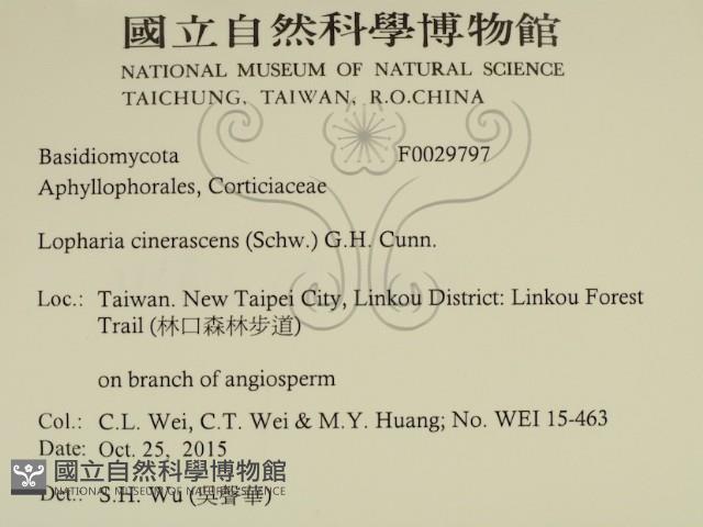 登錄號:F0029797藏品圖，第2張