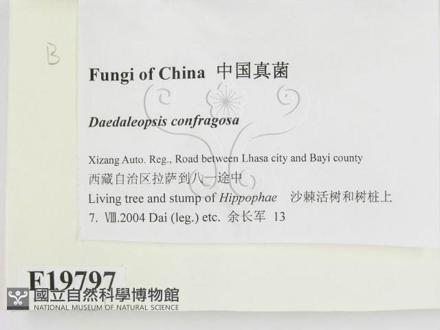 登錄號:F0019797藏品圖，第2張