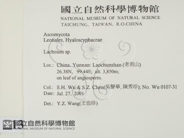 登錄號:F0013797藏品圖，第2張