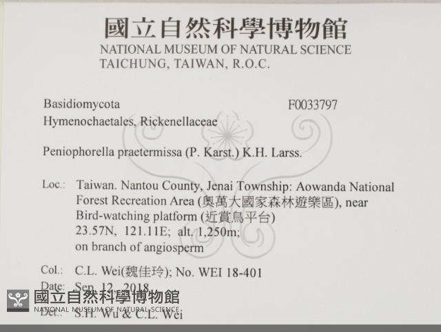 登錄號:F0033797藏品圖，第2張