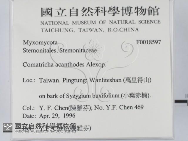 登錄號:F0018597藏品圖，第2張