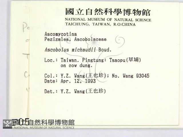 登錄號:F0000597藏品圖，第2張