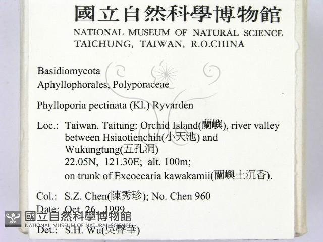 登錄號:F0010597藏品圖，第2張