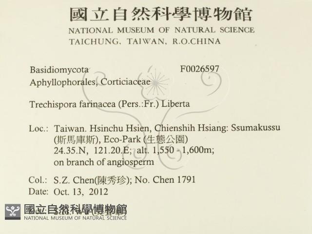 登錄號:F0026597藏品圖，第2張